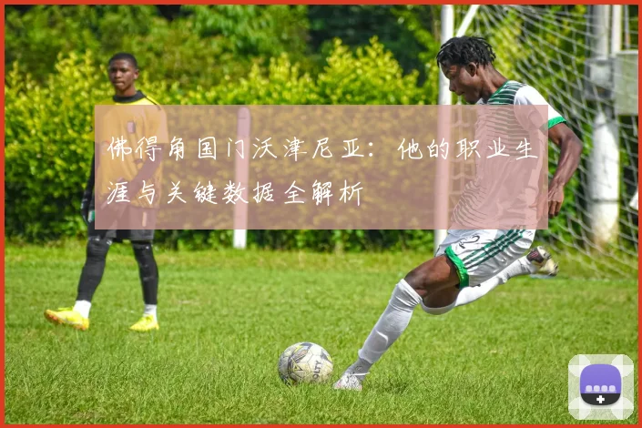 佛得角国门沃津尼亚：他的职业生涯与关键数据全解析