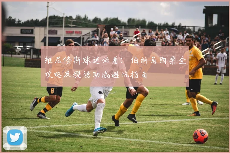 维尼修斯球迷必看：伯纳乌购票全攻略及现场助威避坑指南
